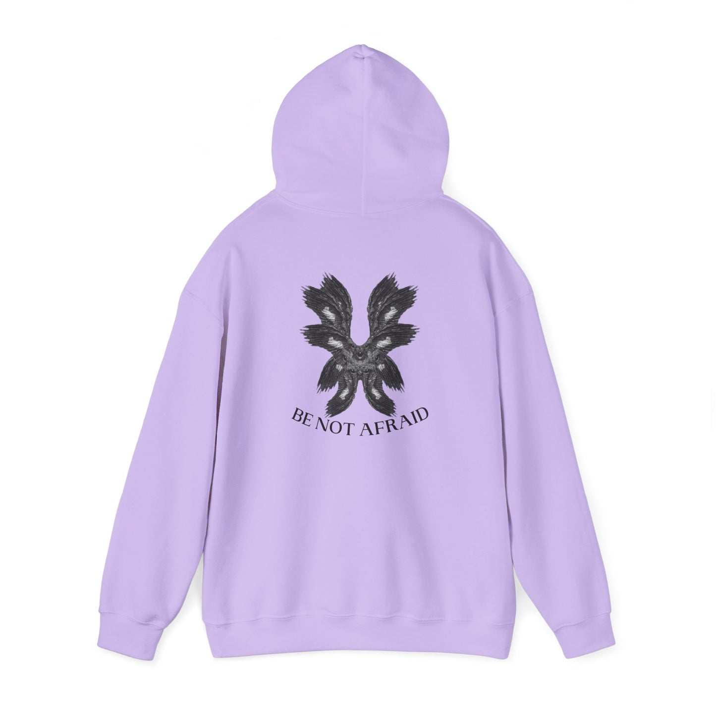 Be Not Afraid Hooded Sweatshirt