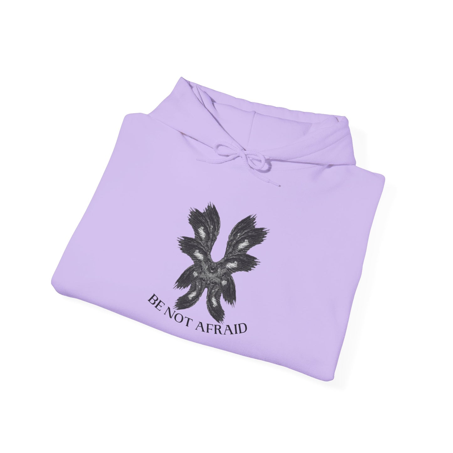 Be Not Afraid Hooded Sweatshirt