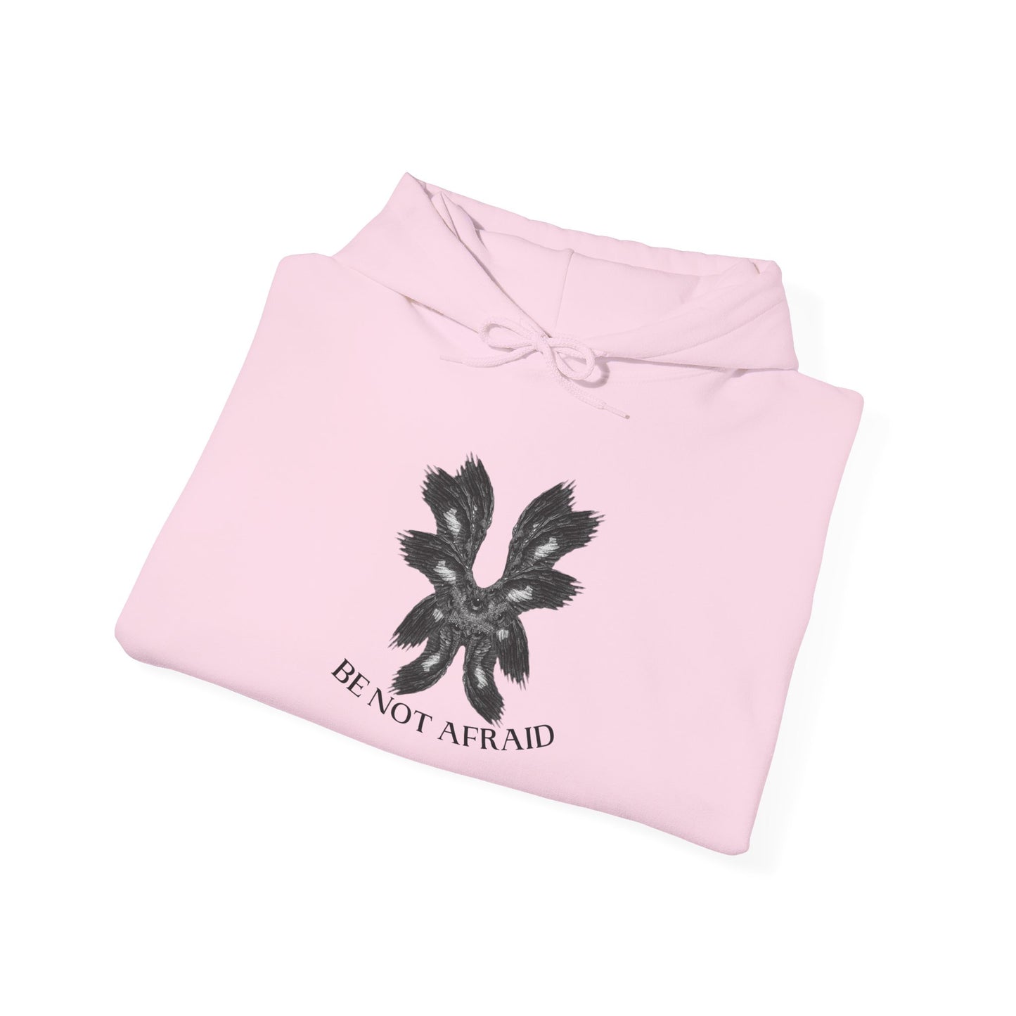 Be Not Afraid Hooded Sweatshirt