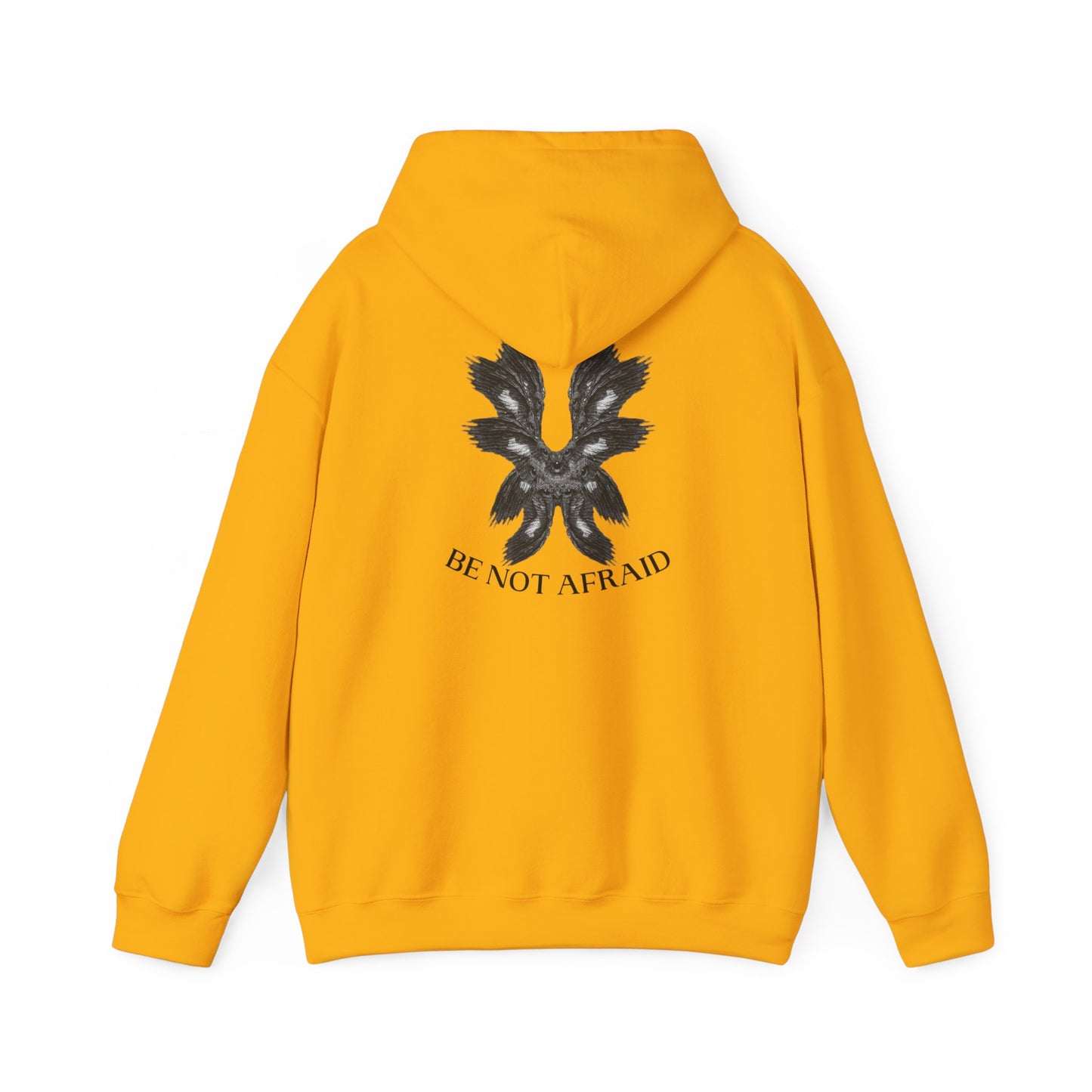 Be Not Afraid Hooded Sweatshirt