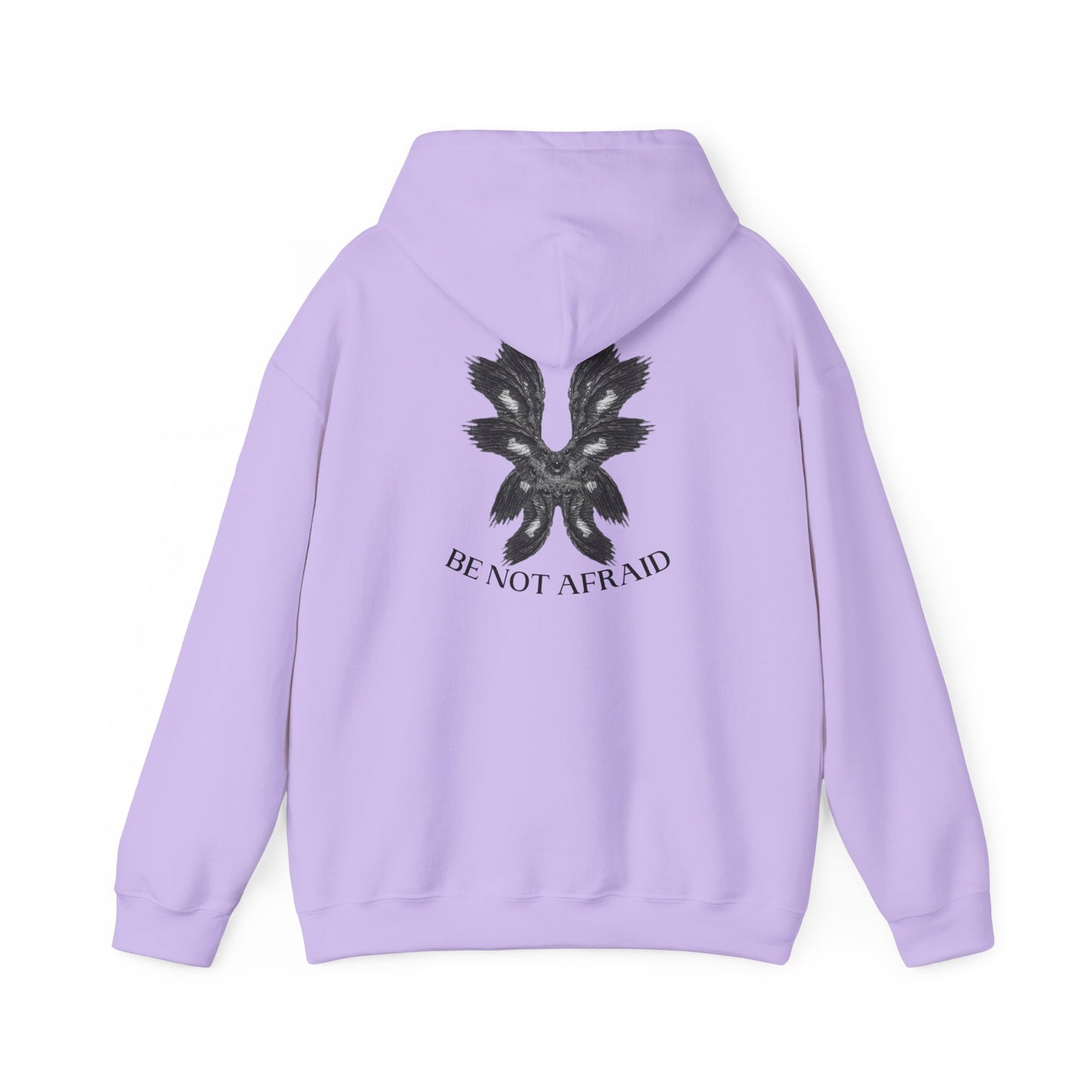 Be Not Afraid Hooded Sweatshirt