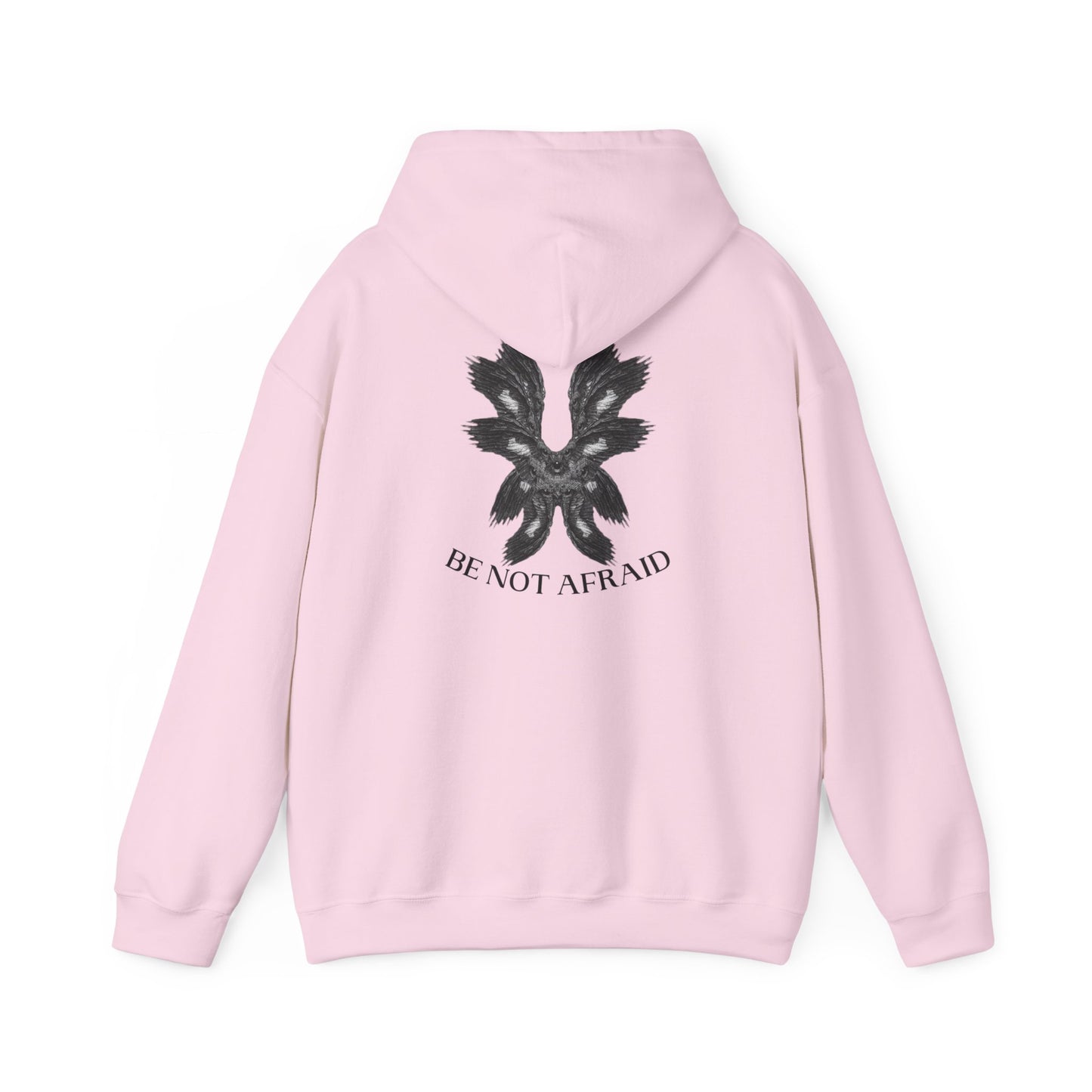 Be Not Afraid Hooded Sweatshirt