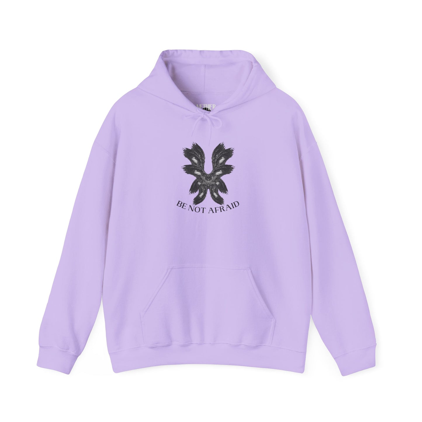 Be Not Afraid Hooded Sweatshirt